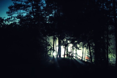 Light between trees in forest at night. Camping season