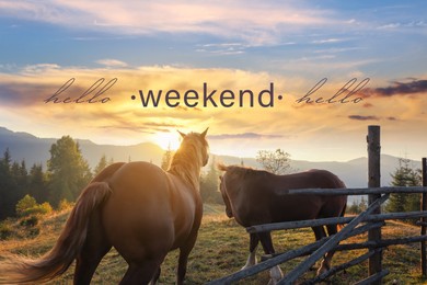 Image of Hello Weekend. Beautiful view of horses near wooden fence in mountains