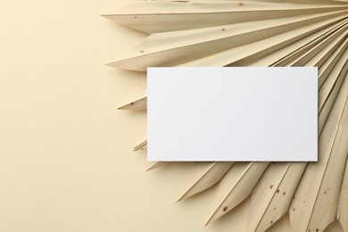 Photo of Blank business card and decorative plant on beige background, top view. Mockup for design