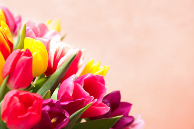 Beautiful spring tulips on light pink background, closeup. Space for text