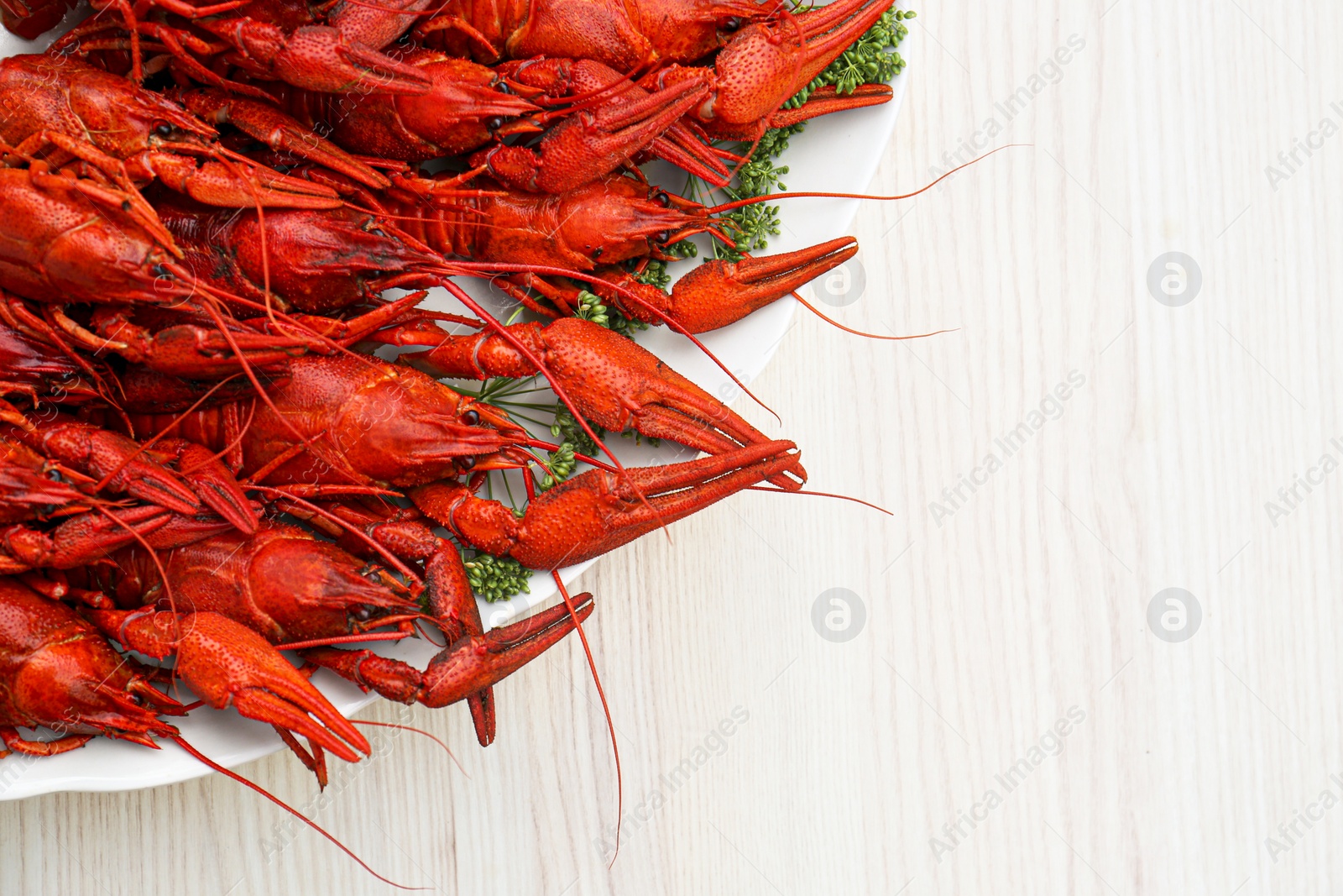 Photo of Plate with delicious red boiled crayfish on white wooden table, top view. Space for text