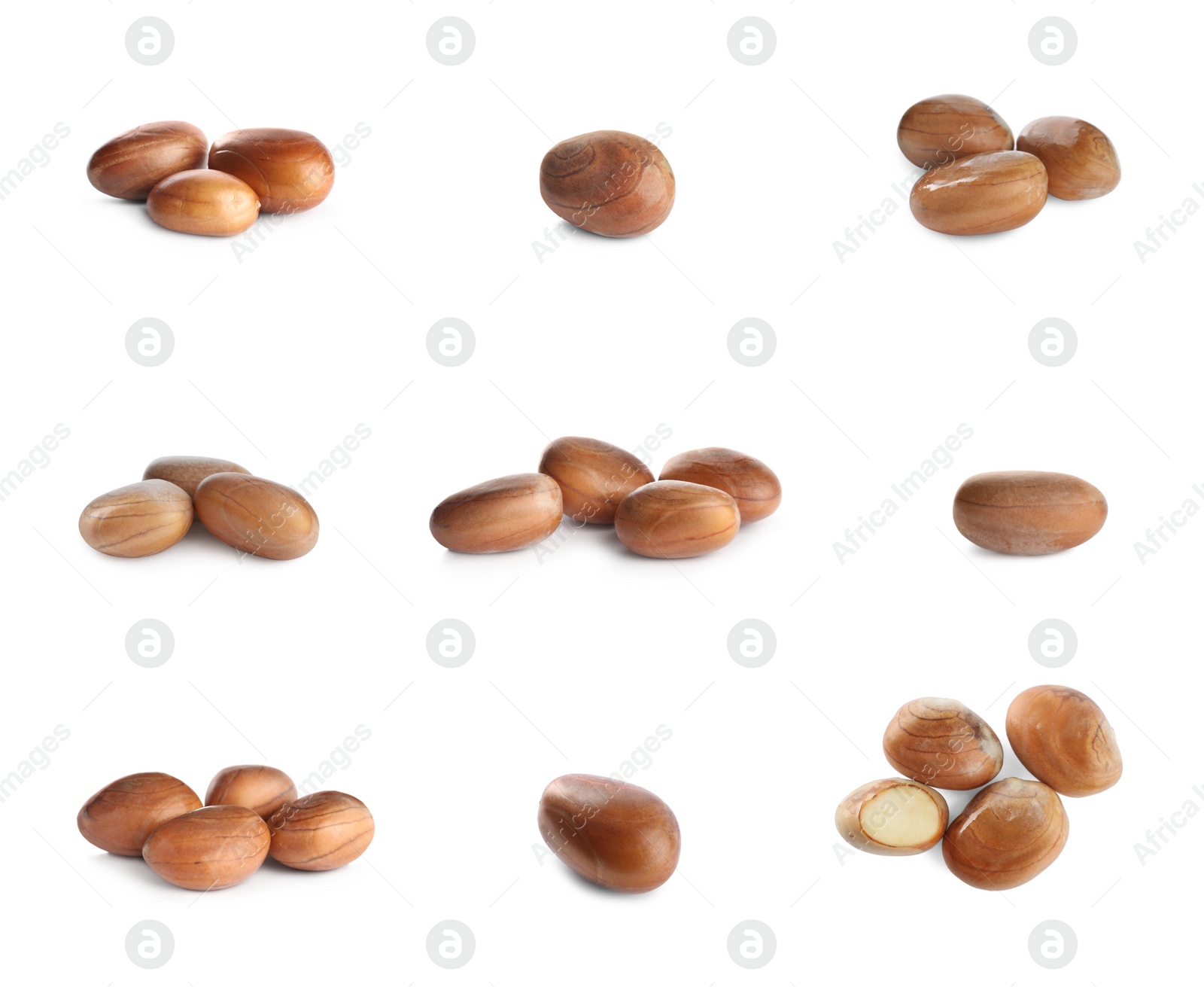 Image of Set with jackfruit seeds on white background