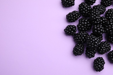 Photo of Tasty ripe blackberries on light violet background, flat lay. Space for text