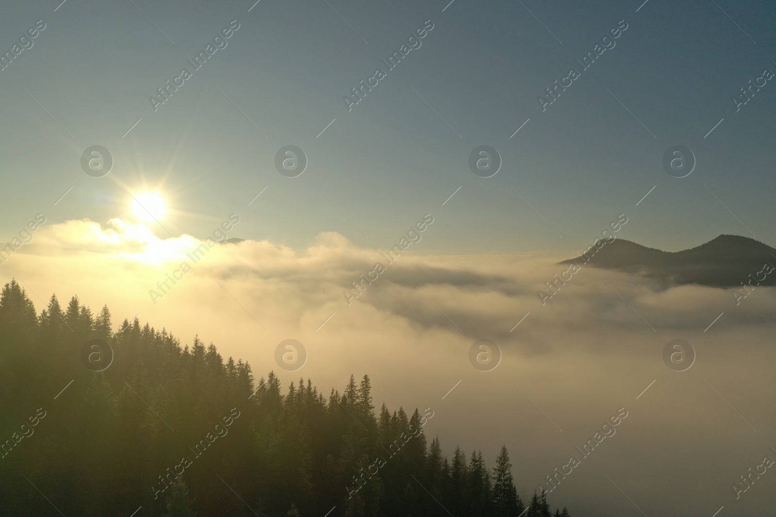 Photo of Beautiful landscape with sun over forest in misty mountains. Drone photography