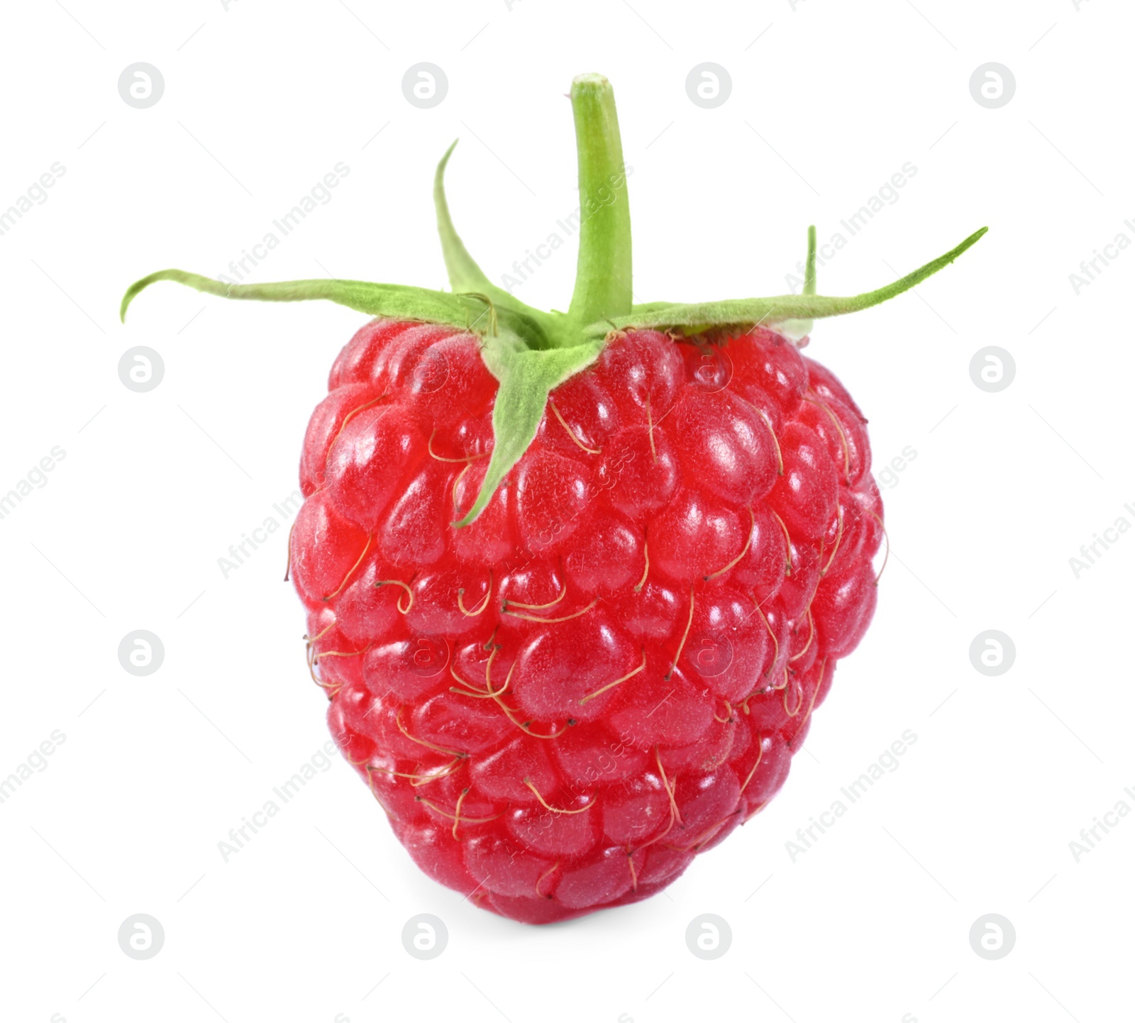 Photo of One tasty ripe raspberry isolated on white