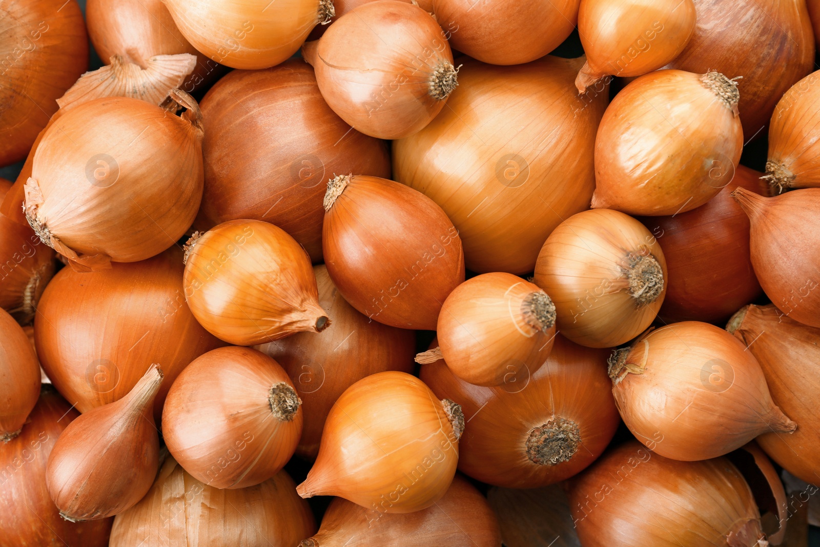 Photo of Fresh ripe onions as background