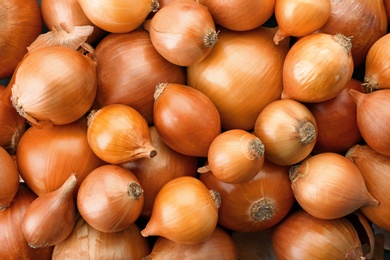 Photo of Fresh ripe onions as background