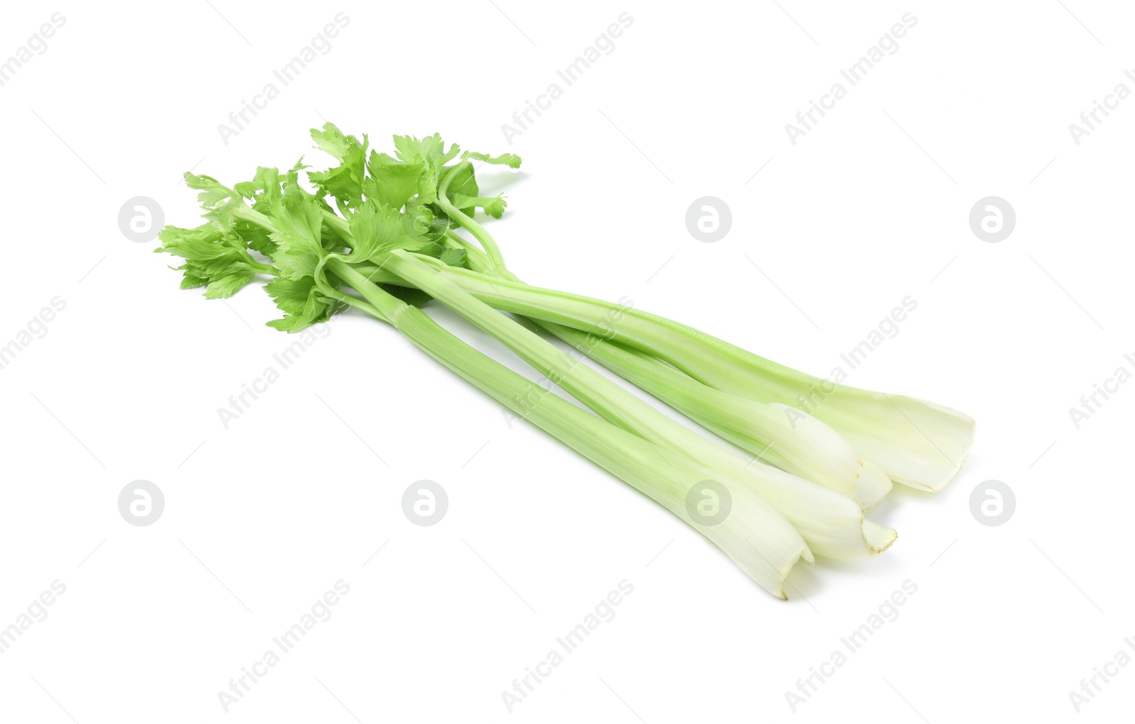 Photo of Fresh green celery stems isolated on white