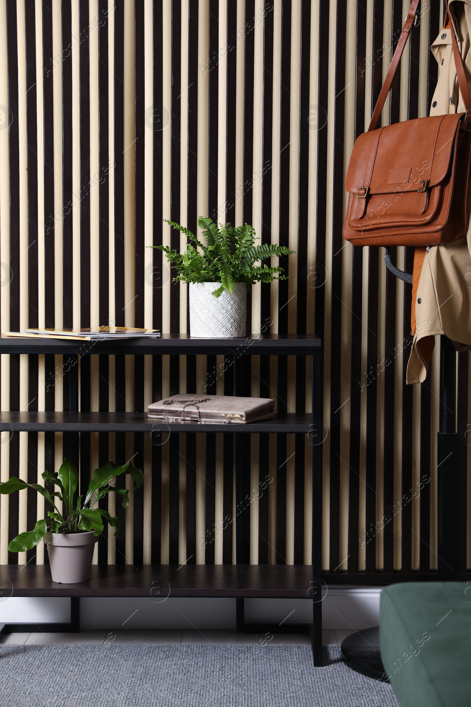 Photo of Beautiful ferns on table and clothes rack near striped wall