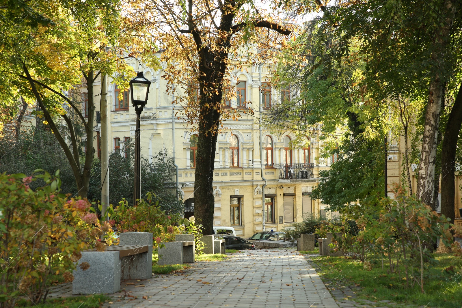 Photo of View of quiet city street with pathway on sunny day