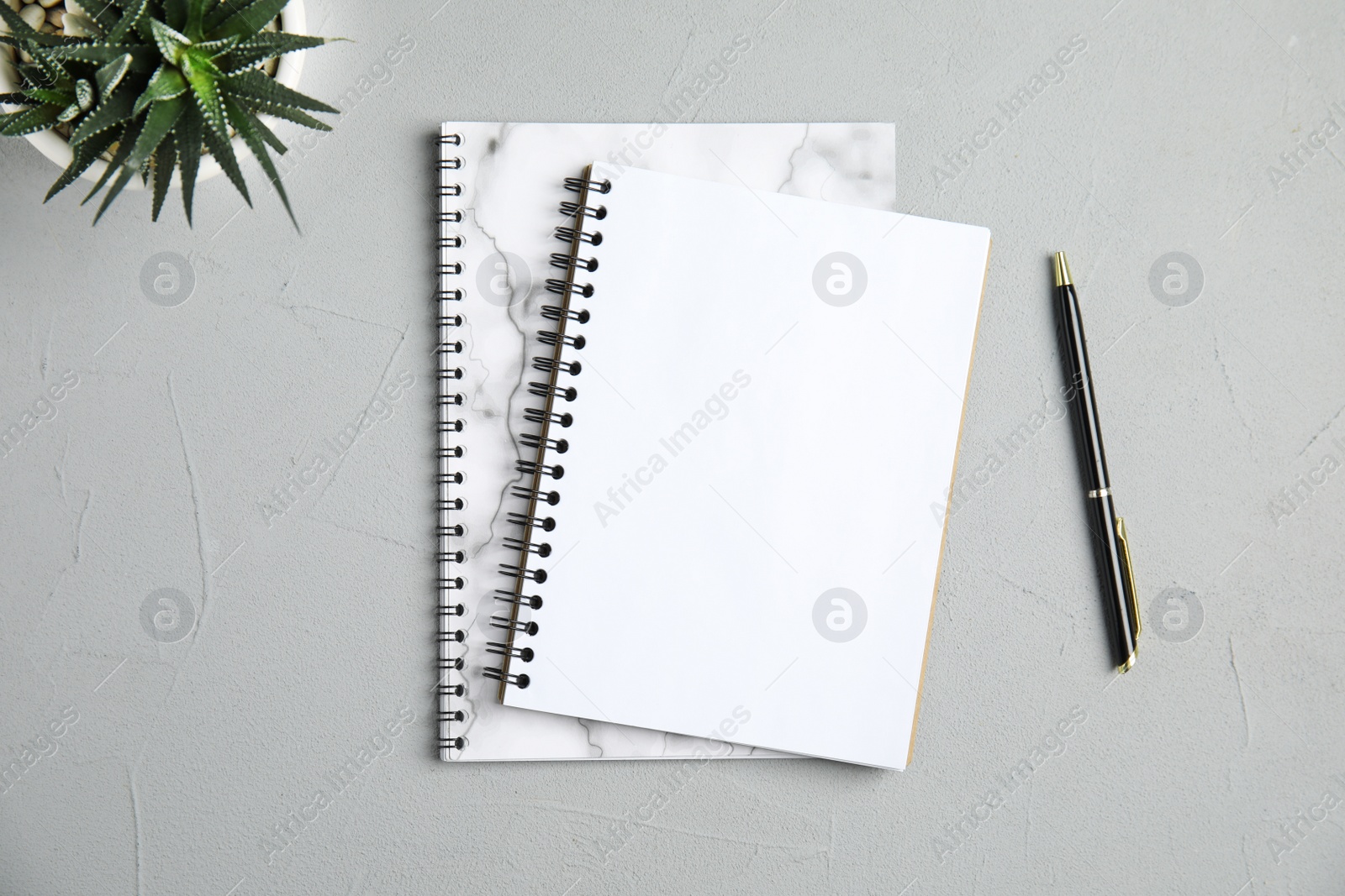 Photo of Flat lay composition with notebooks and plant on grey background