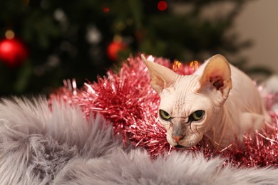 Adorable Sphynx cat with colorful tinsel on fluffy blanket indoors, space for text