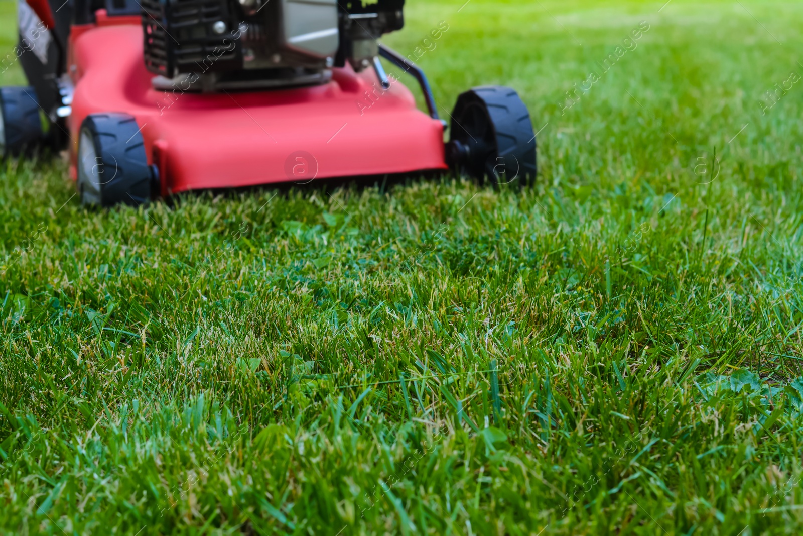 Photo of Modern garden lawn mower on green grass outdoors