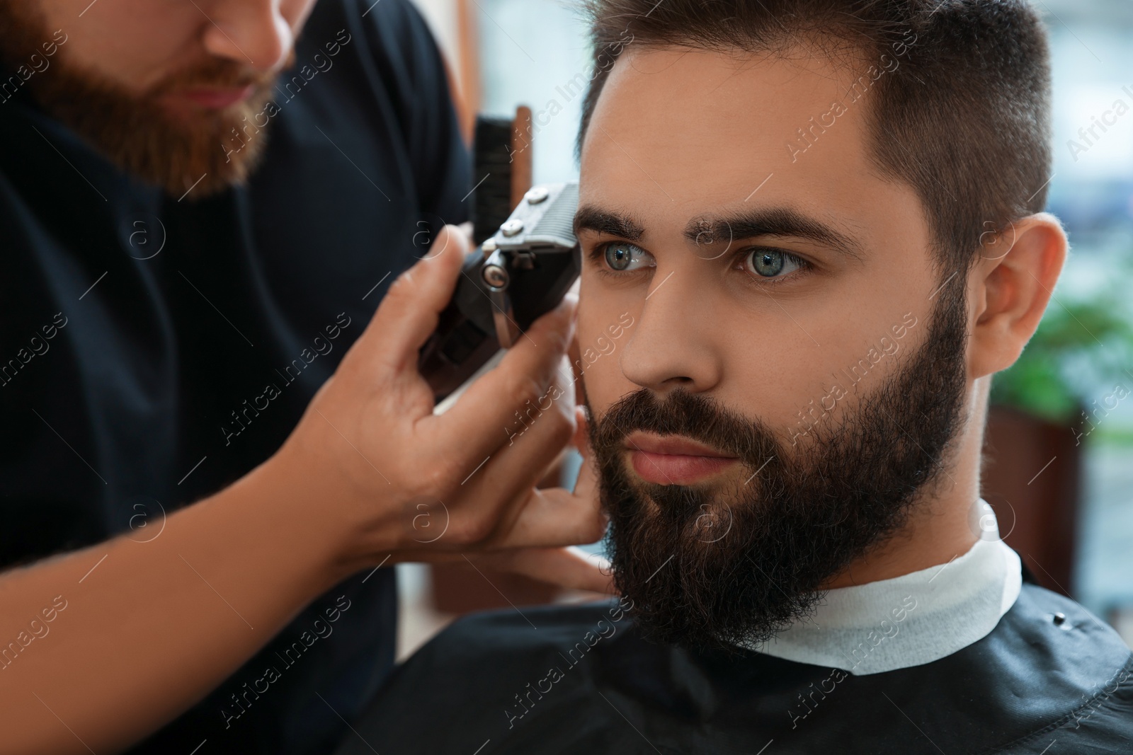 Photo of Professional hairdresser working with client in barbershop, closeup