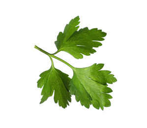 Aromatic fresh green parsley isolated on white