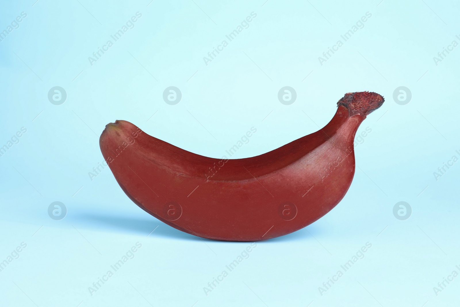 Photo of Tasty red baby banana on light blue background