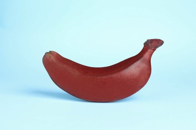 Tasty red baby banana on light blue background
