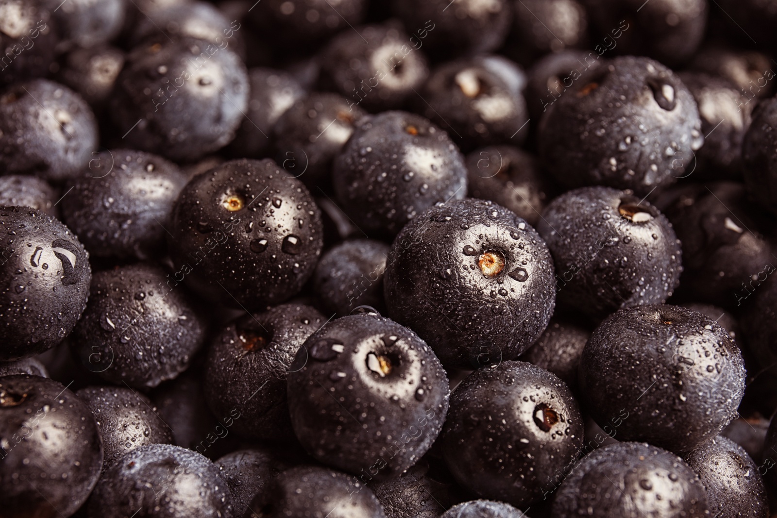 Photo of Fresh acai berries as background