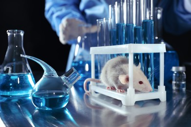 Photo of Rat on table in chemical laboratory. Animal testing