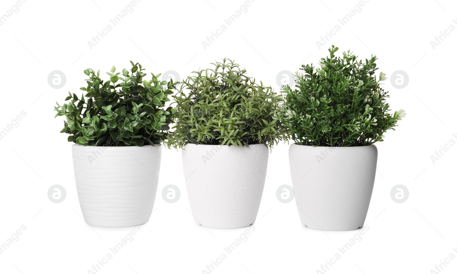 Photo of Artificial potted herbs on white background. Home decor