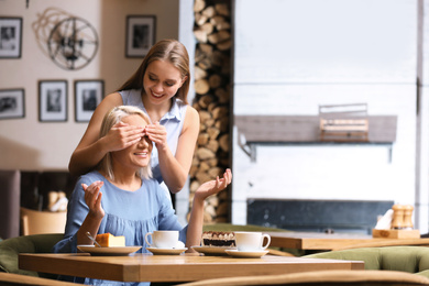 Mother and her adult daughter spending time together in cafe