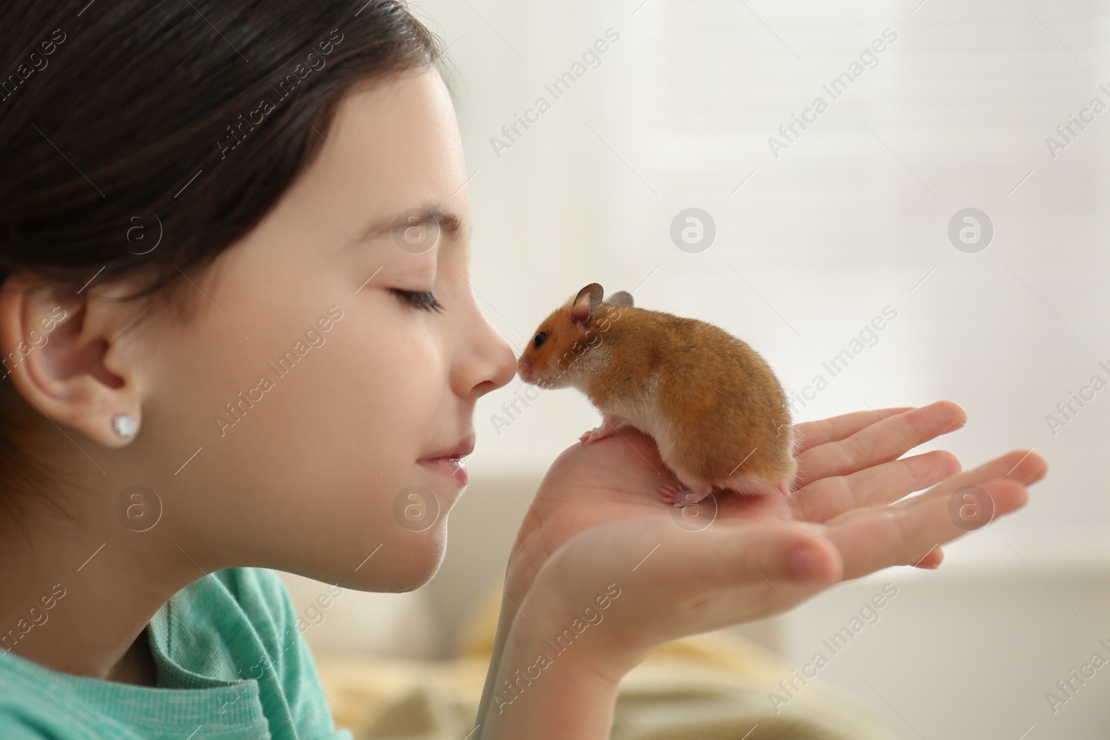 Photo of Little girl holding cute hamster at home, closeup