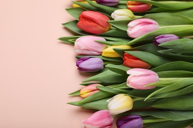 Beautiful tulips on pale pink background. Space for text