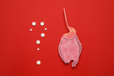 Paper cutout of small intestine and question mark made with pills on red background, flat lay