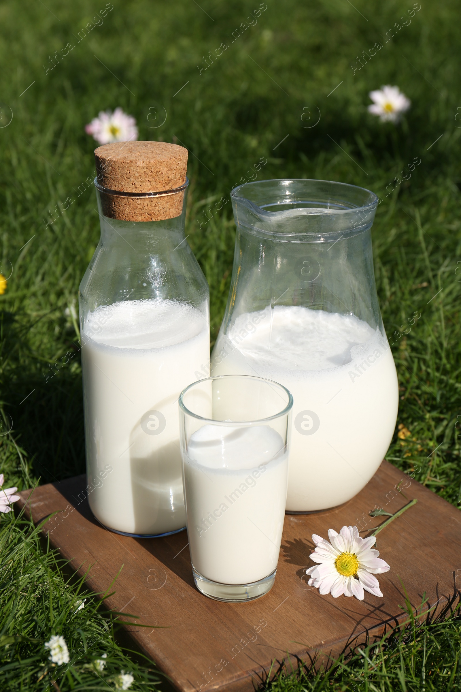 Photo of Glassware with fresh milk on green grass outdoors