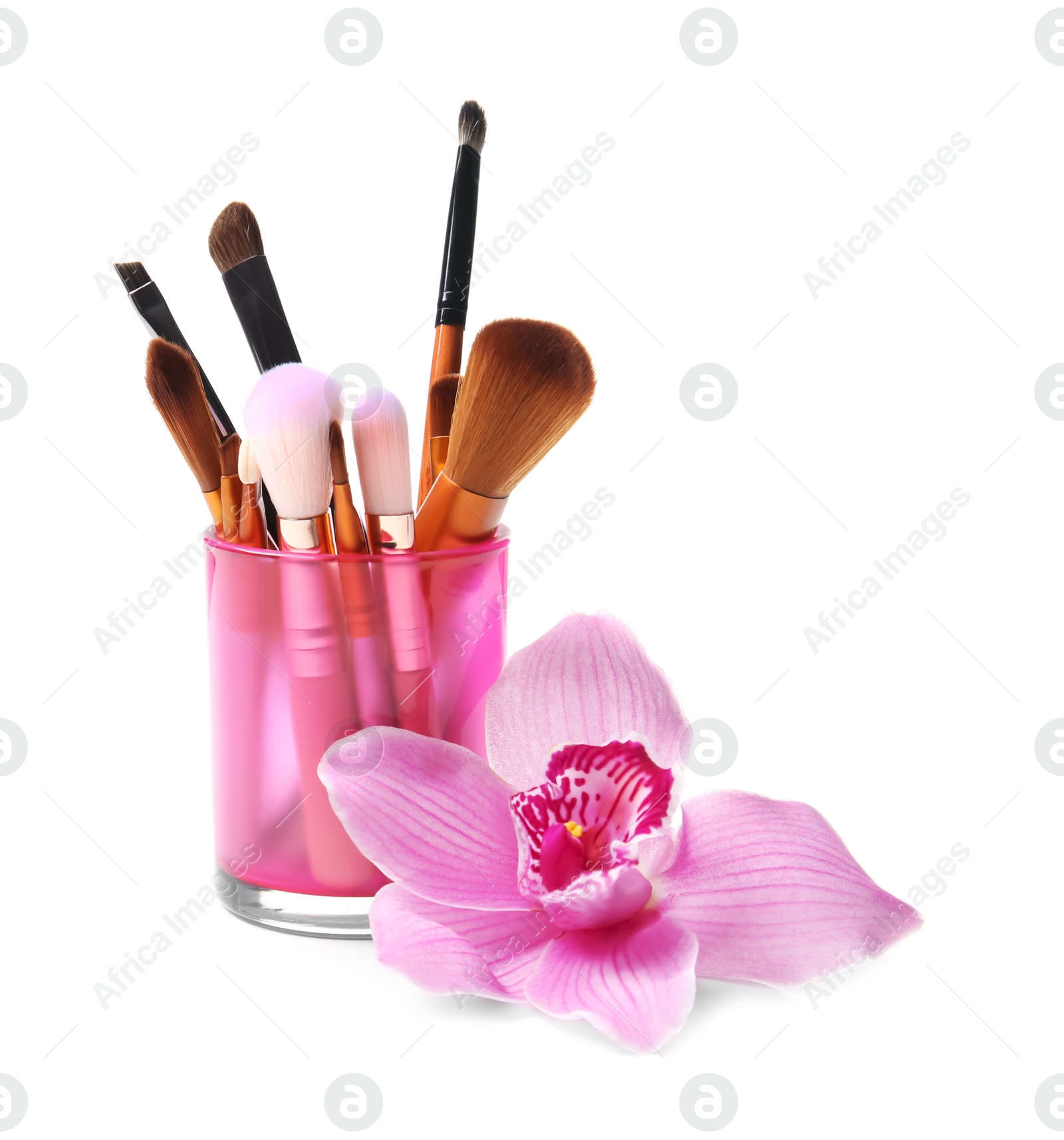 Photo of Holder with makeup brushes of professional artist on white background