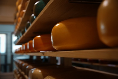 Photo of Fresh cheese heads on rack in factory warehouse, closeup