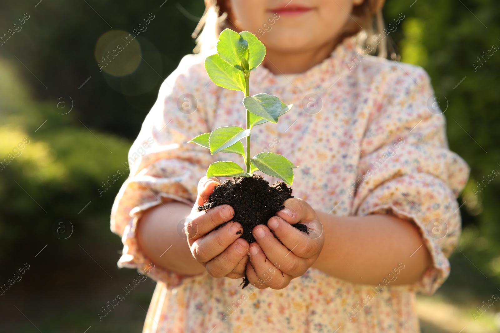 Photo of Little girl holding tree seedling outdoors, closeup