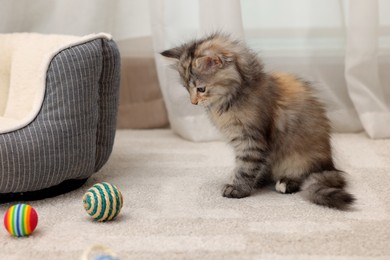 Photo of Cute fluffy kitten with different toys at home