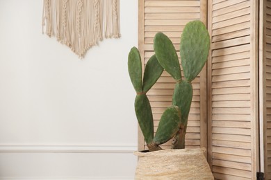 Photo of Stylish room with beautiful potted cactus, space for text. Interior design