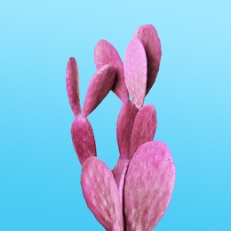 Pink cactus on light blue background. Creative design