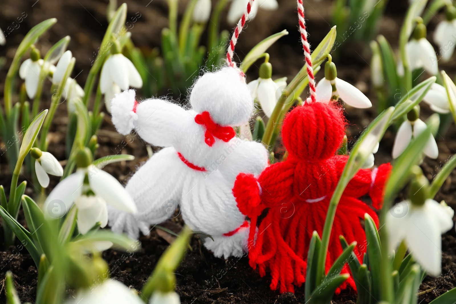 Photo of Traditional martisor among beautiful snowdrops outdoors. Beginning of spring celebration