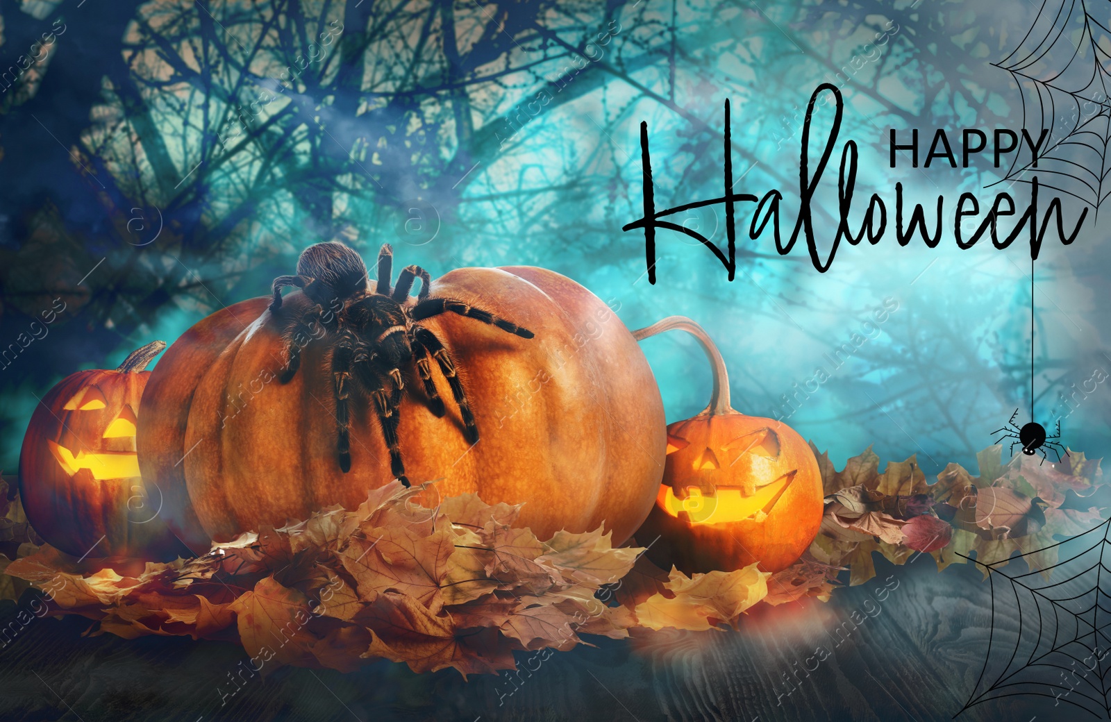 Image of Happy Halloween. Spooky Jack O`Lantern pumpkins and creepy spider surrounded by mystical fog in night