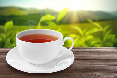 Image of Cup of hot freshly brewed rooibos tea on wooden table outdoors