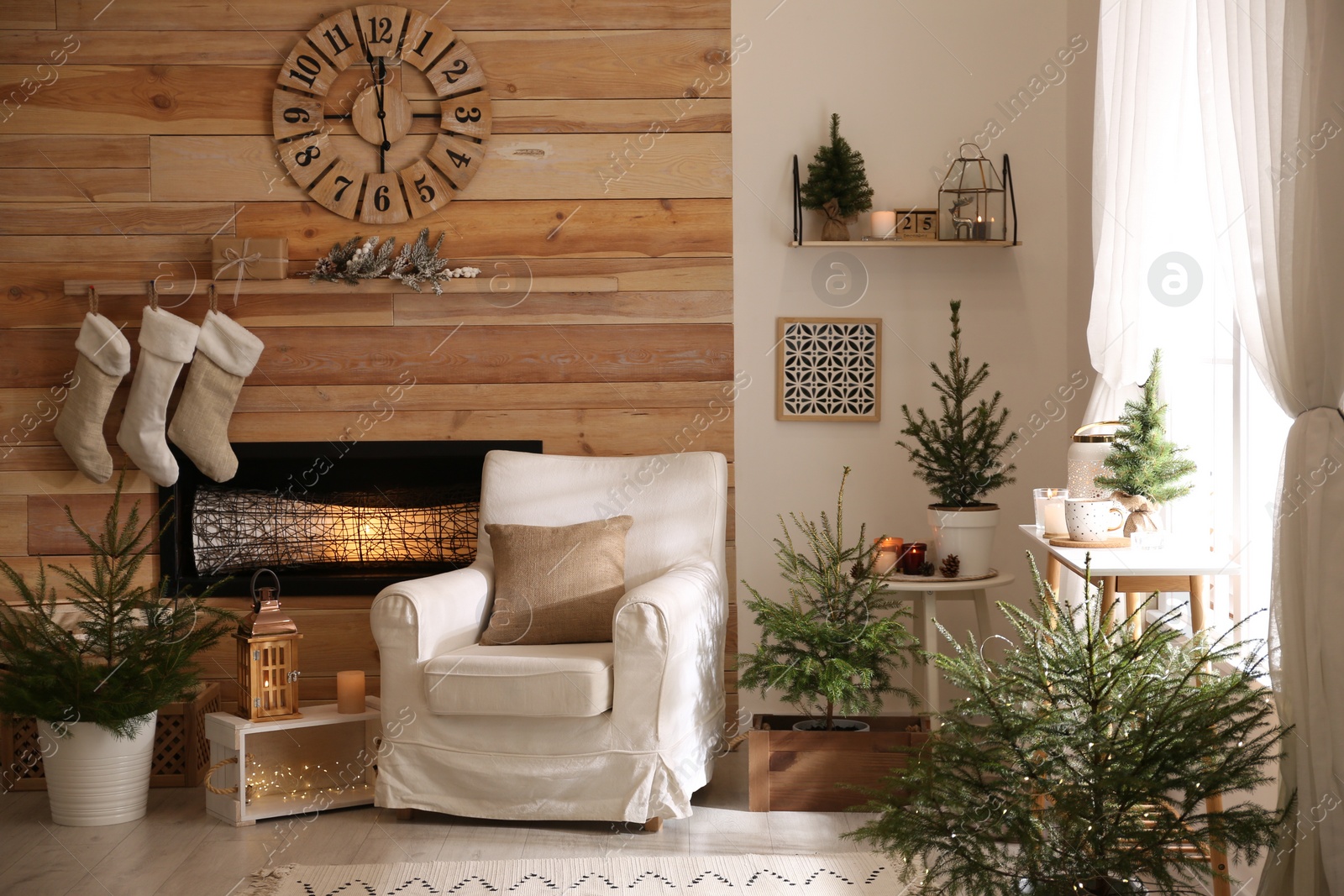 Photo of Potted fir trees and Christmas decorations in room with fireplace. Stylish interior design