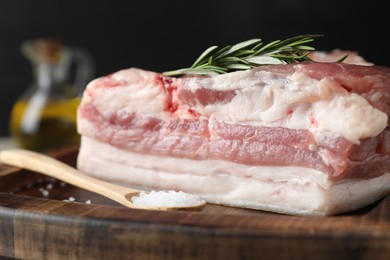 Piece of raw pork belly, salt and rosemary on wooden board, closeup