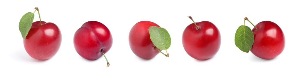 Image of Set with delicious ripe cherry plums on white background. Banner design