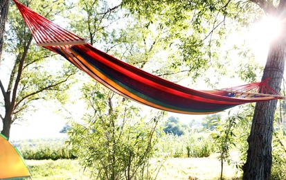 Photo of Empty hammock outdoors on sunny day. Summer camp