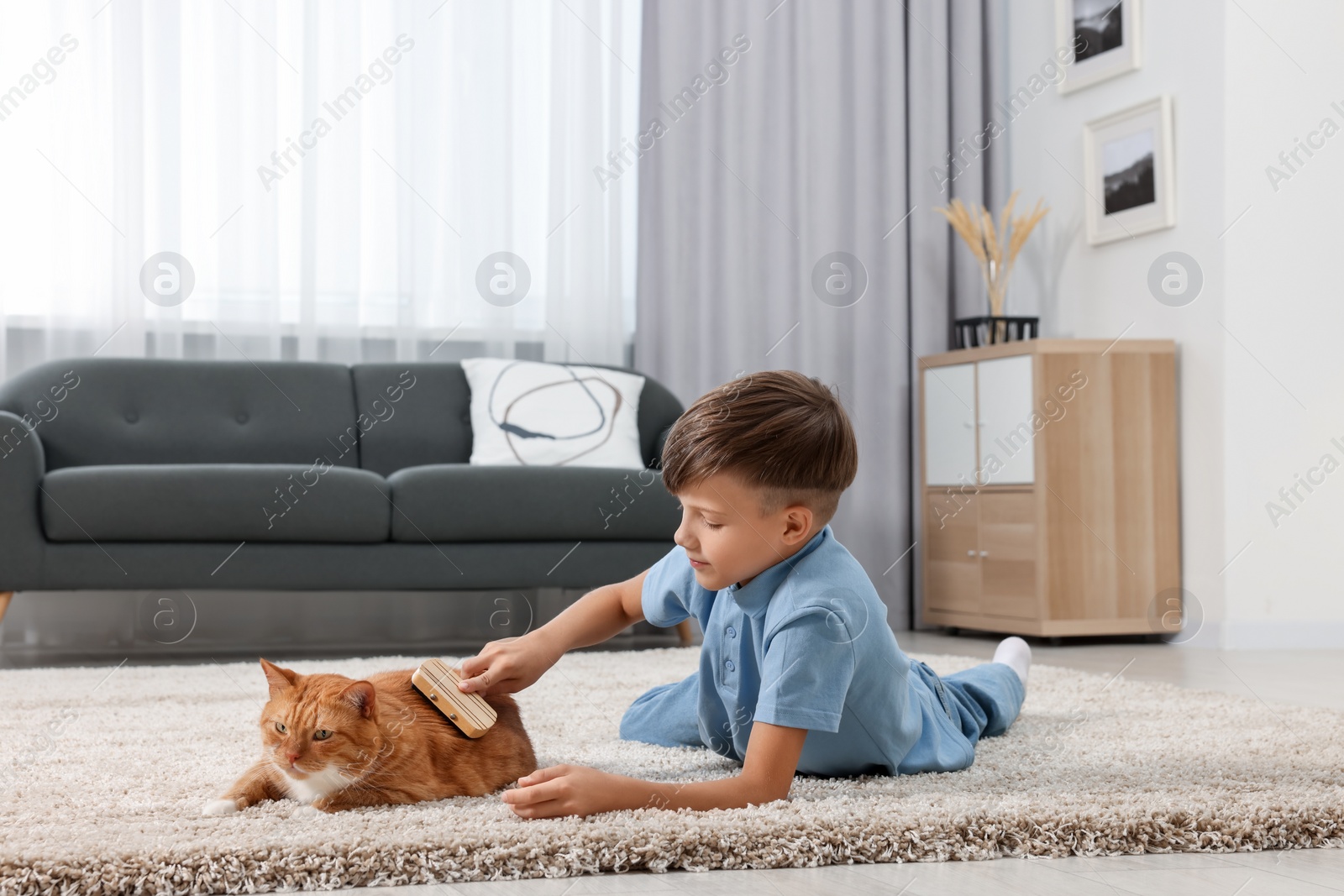 Photo of Little boy brushing cute ginger cat's fur on soft carpet at home