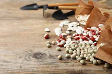 Different vegetable seeds and gardening tools on wooden table