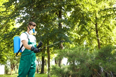 Photo of Worker spraying pesticide onto green bush outdoors. Pest control