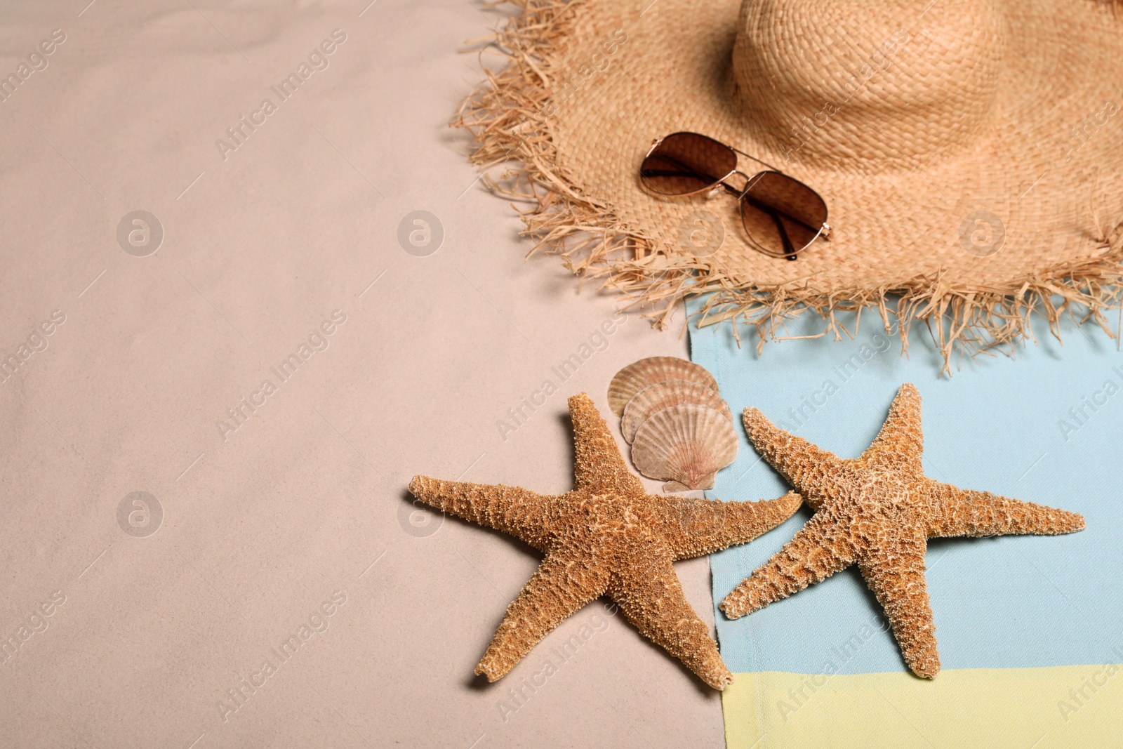 Photo of Beach towel, hat, sunglasses, sea shells and starfishes on sand. Space for text