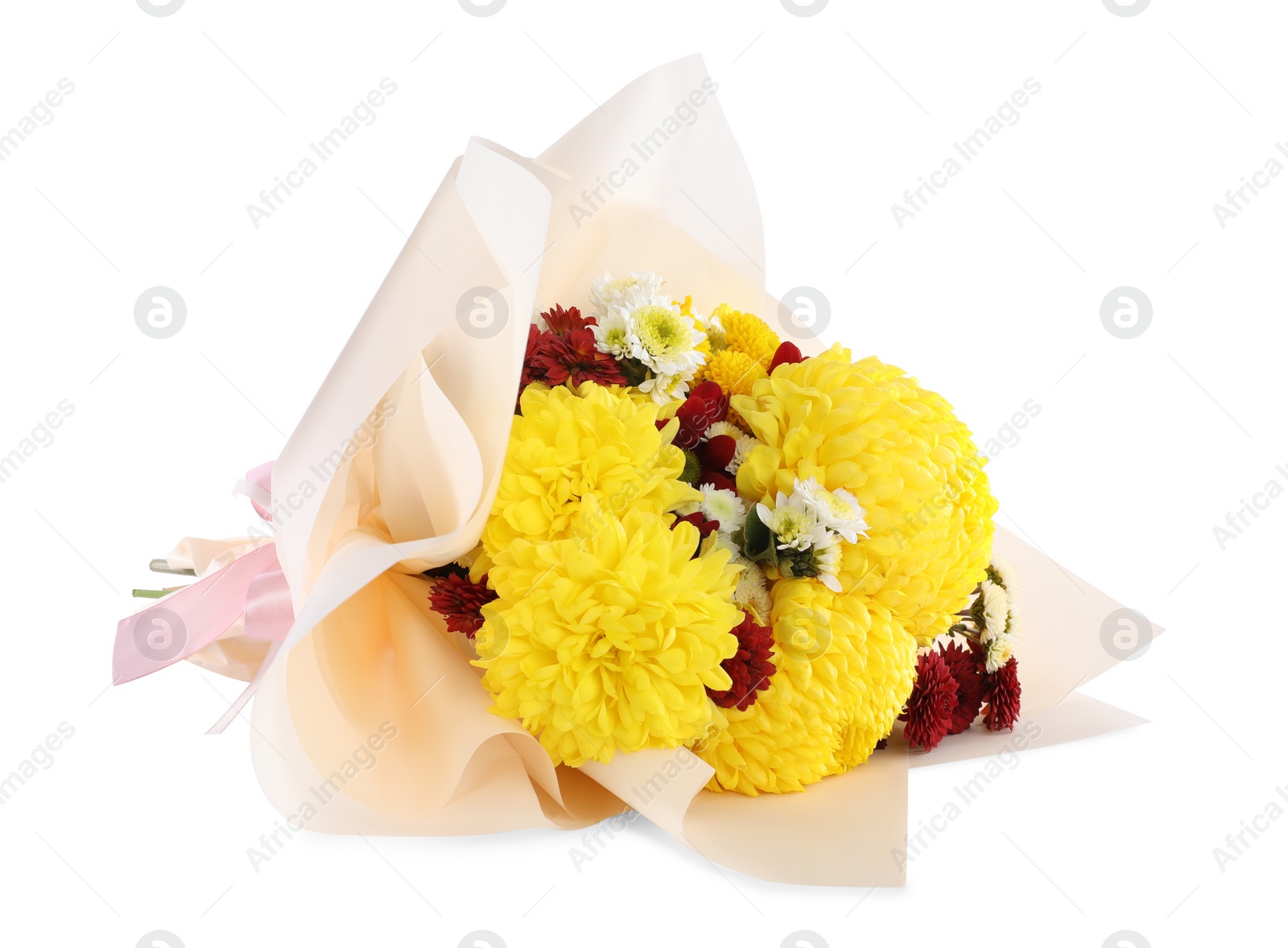 Photo of Bouquet of beautiful chrysanthemum flowers isolated on white