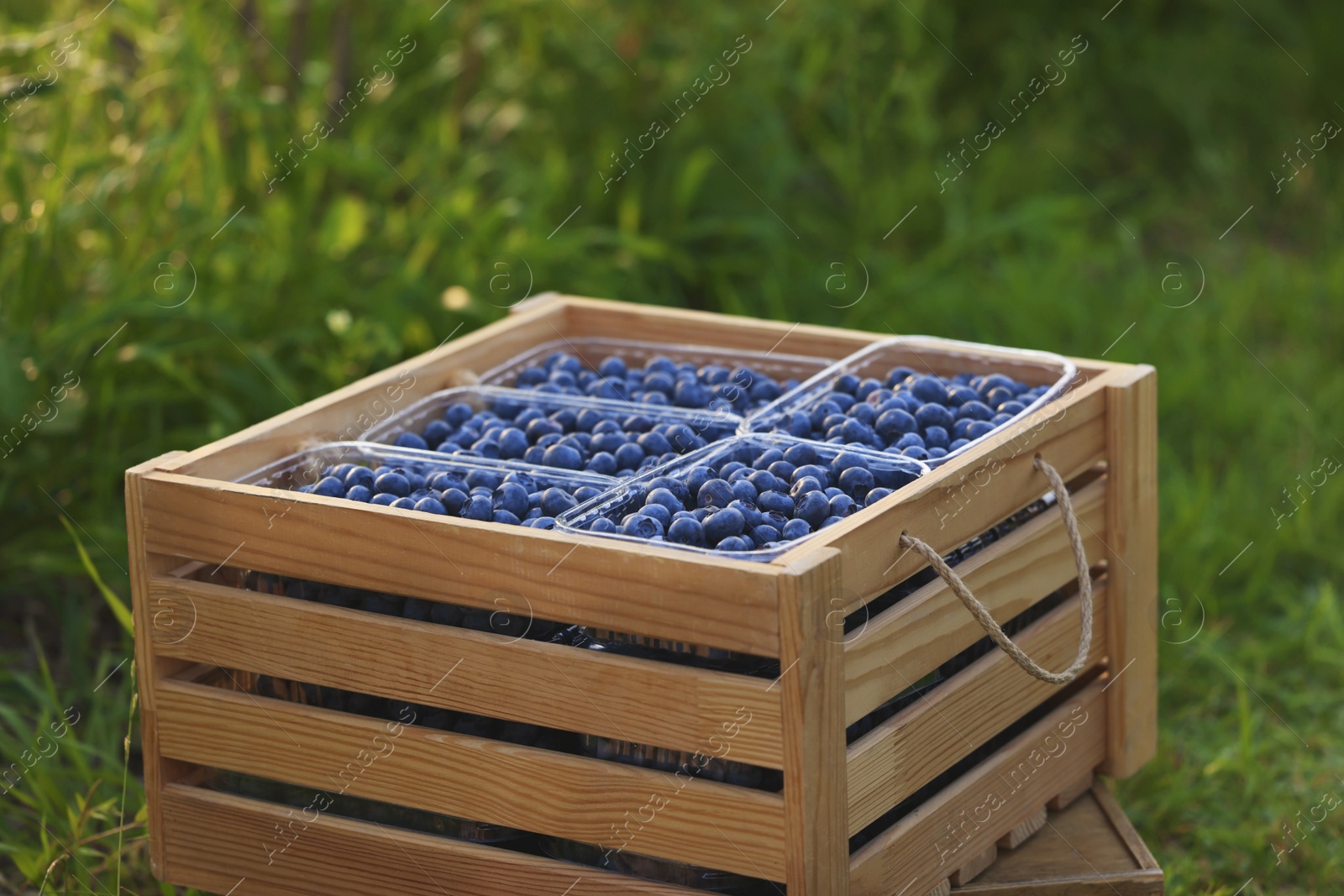 Photo of Boxes of fresh blueberries outdoors. Seasonal berries