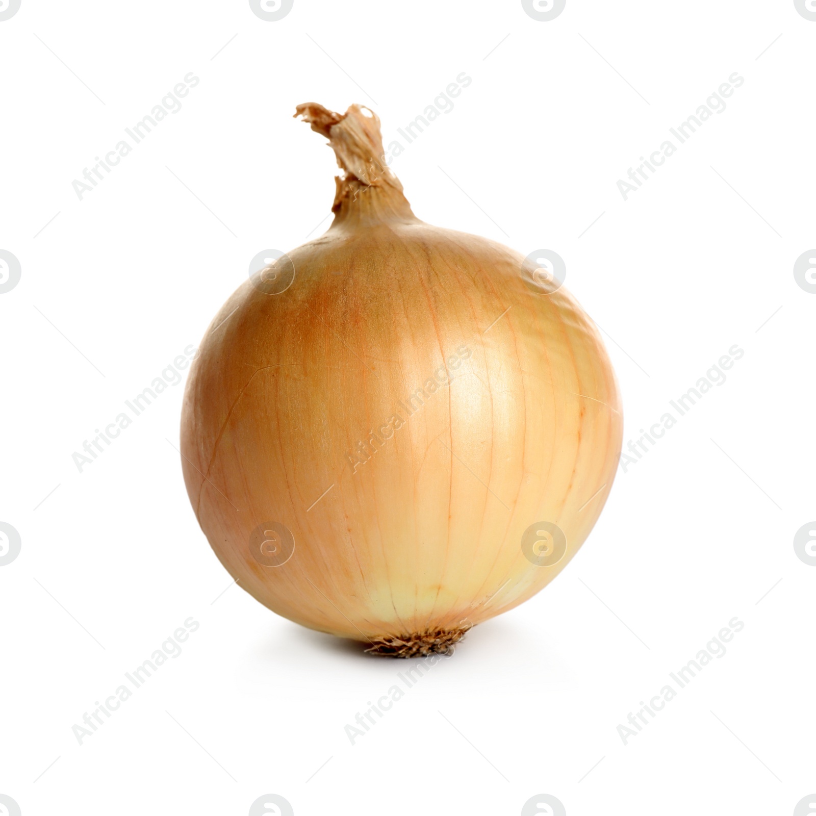 Photo of Fresh ripe onion bulb isolated on white