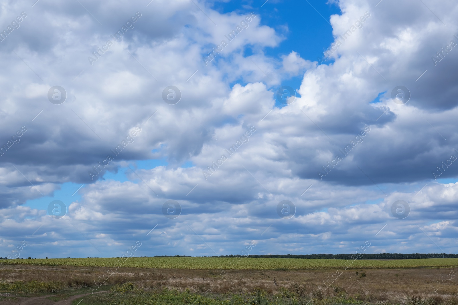 Photo of Picturesque view of beautiful fluffy clouds in light blue sky above field